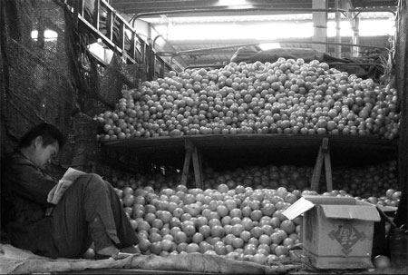 Scare hits sales of tangerines