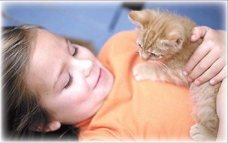 A purrfect stress buster