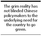China's green path