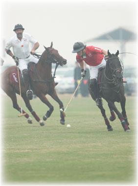 Mark of polo