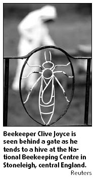 Britons get a sting for the honey bee