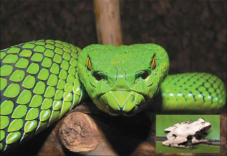 1,000 new species discovered