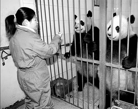 Taipei zoo keepers get up close
