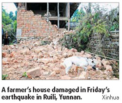 19 injured in earthquake