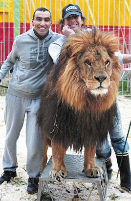 Out of the Bird's Nest, into the lion cage