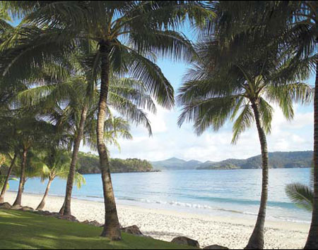 Get paid to swim, snorkel and blog