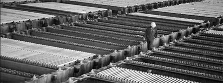 Shandong unveils spending plan