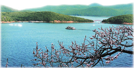 August festival to hail Jingbo success story