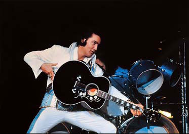 Rock'n'roll stars in focus