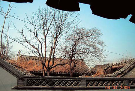Fading history through youngsters' eyes