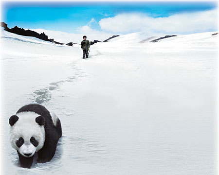 Pandering to every whim