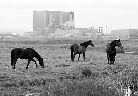 Centrica goes nuclear in British Energy deal