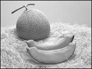$5,200 for 2 melons? That's 80% discount