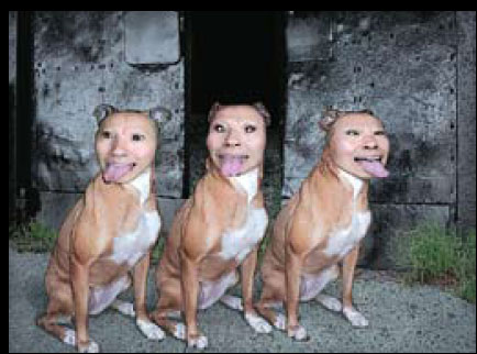 Chinese surrealist explores the animal within