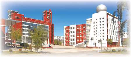 From wasteland to boomtown as Ningdong base gathers energy