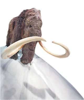A mammoth show