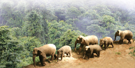 Enchanting land of 'Eternal Spring'