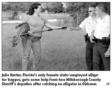 All in a day's work for Florida's sole female gator trapper