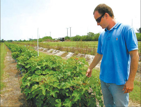 Small plant offers big fuel possibilities