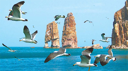 Bohai Bay gets green light for 'blue' economy