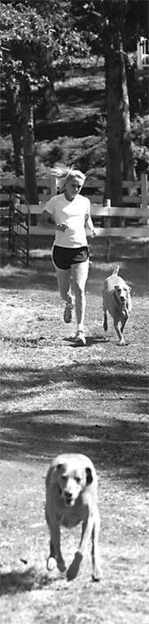 Slaney yearns to run