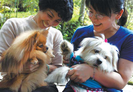 How pets can make you sick