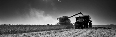 Sunrise days ahead for commodities
