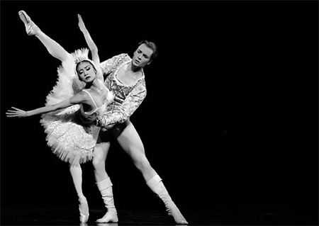 Dancing swan