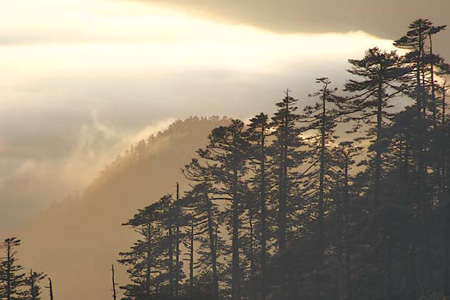 Soul Mountain