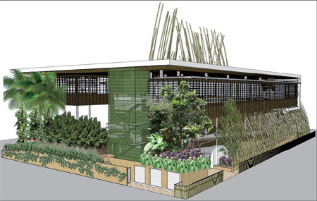 Diversity to shine through tropical hut