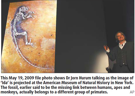 Evolution 'link' that isn't