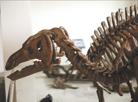 Walking among dinosaurs