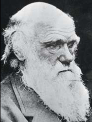 First edition of Darwin book found in toilet