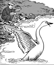 China Scene: North