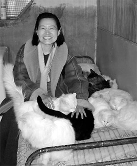 Controlling cat numbers the humane way