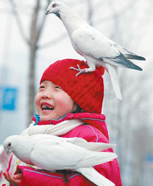 Beijing Bites