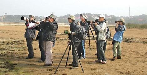 Bird enthusiasts set their eyes on the skies