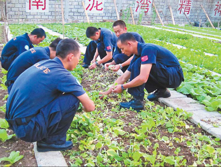 Green thumbs make Chinese peacekeepers a growing sensation