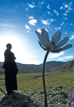 Flower power monk protects 'wild west'
