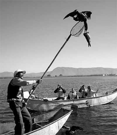 Yunnan's winged wonders