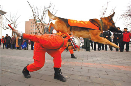 Beijing Bites
