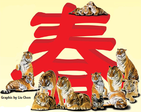 Tigers paws for thought