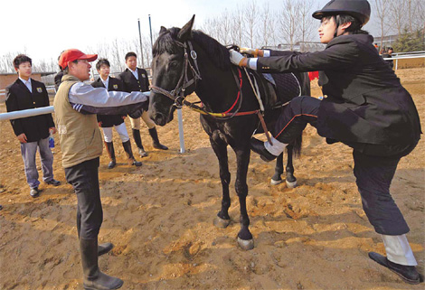 Locals jump on equestrian pursuits
