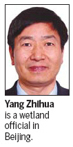 Drying city hopes to reverse the trend, director says