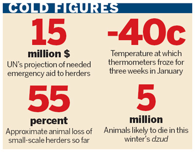 Mongolia's animals face deadly winter