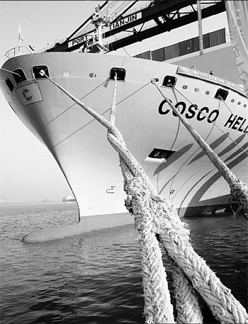 Cosco share sale to fund new ships