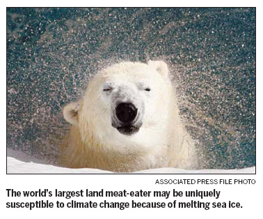 No polar bear ban at UN conservation meeting