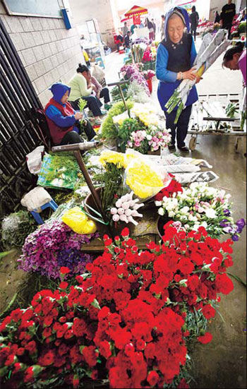 Flowers fail to bloom as drought worsens