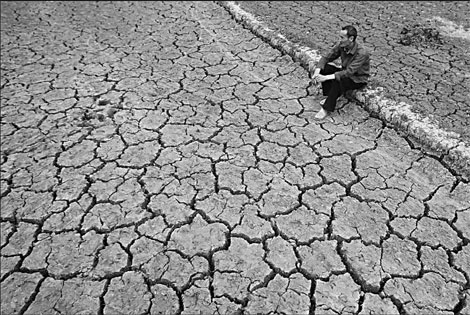Sugar shares sweeten on drought