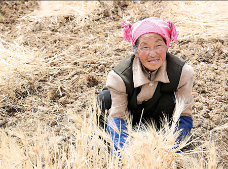 No crops, no money, no food as Yunnan waits for rainfall